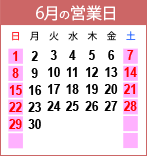 丸一製薬　営業日のご案内